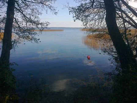 Nuotrauka0136