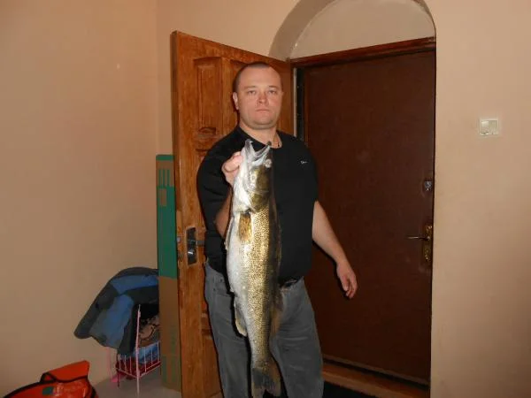 один из судачков