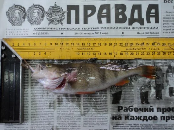 ок...