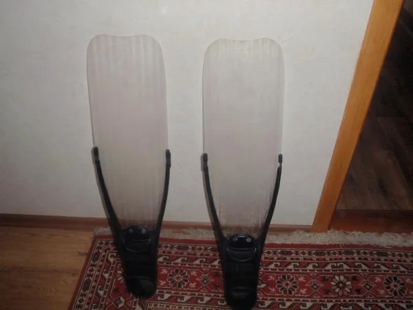 Омер айсы