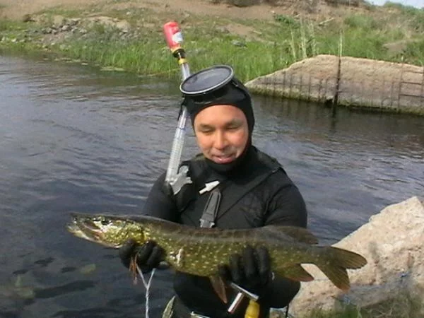 она же