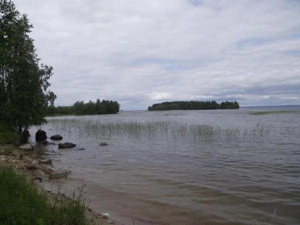 Онега