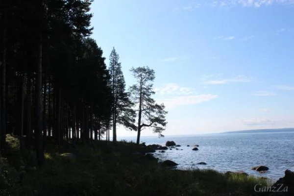 Онега