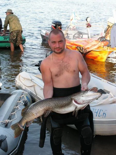 Опять рыппка