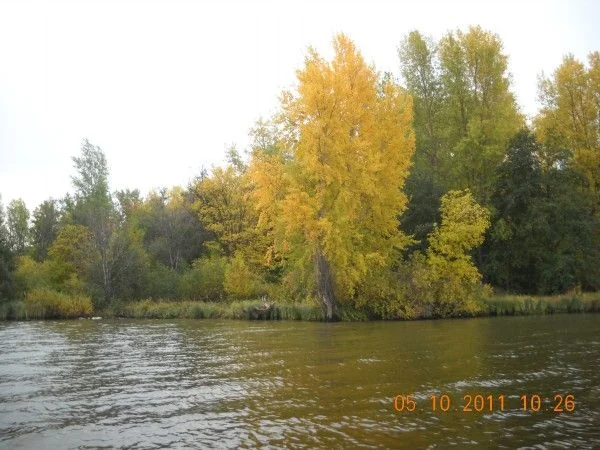 Осень 2011