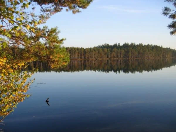 Осень золотая.