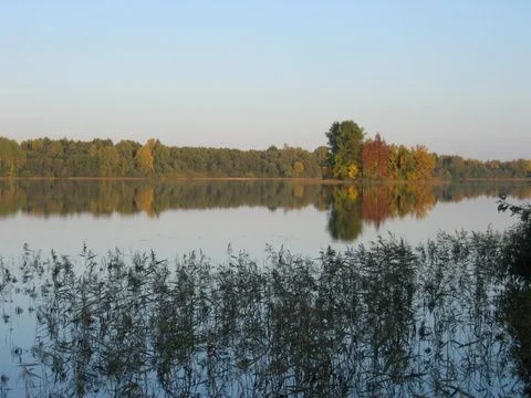 Остров.