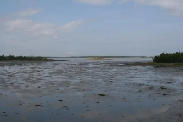 отлив
