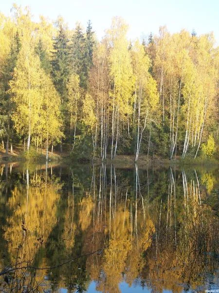 озерна