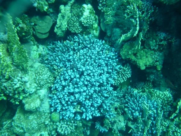 P1000469