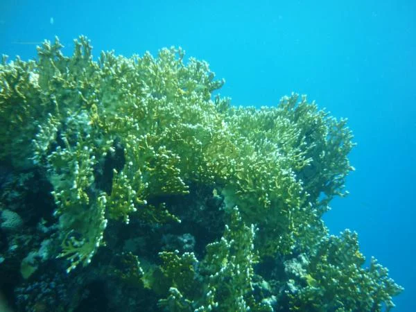 P1000483