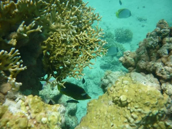 P1000497