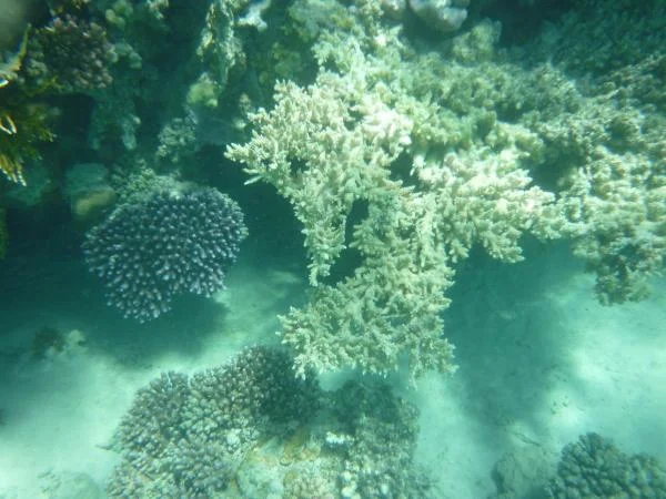 P1000507