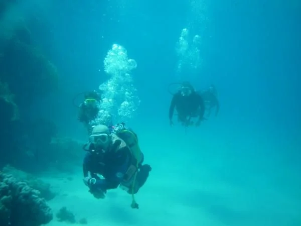 P1000550