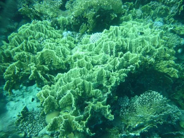 P1000756