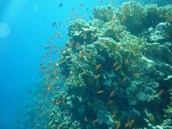 P1000760