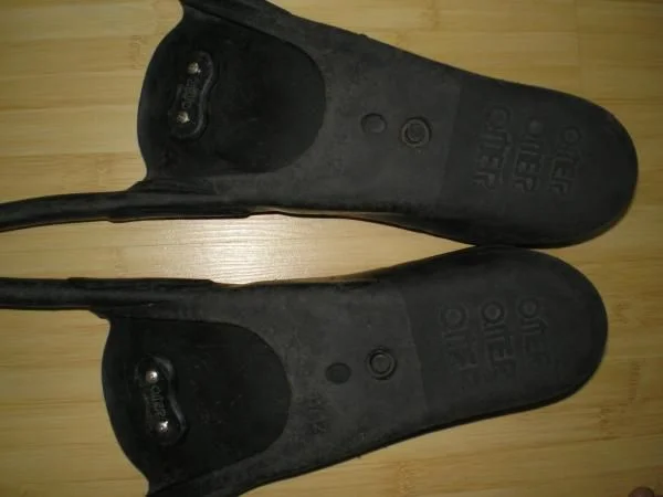 P1010004