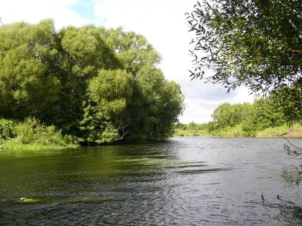 P1010662