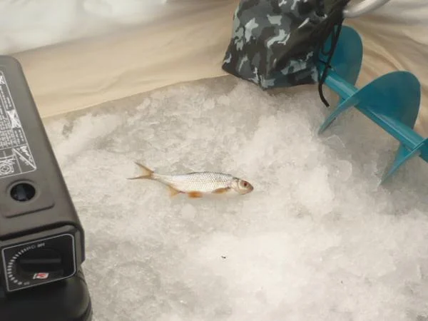 P1020578