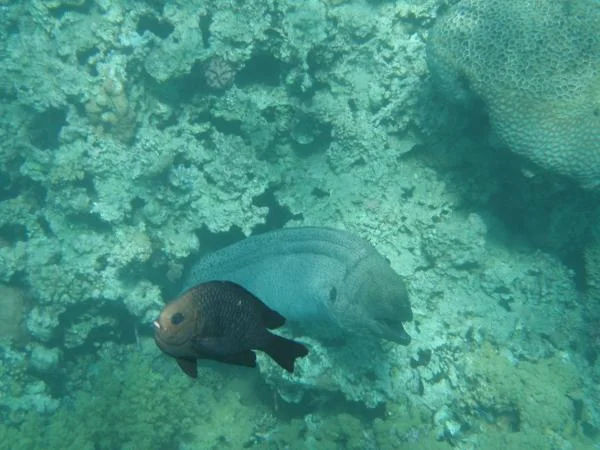 P2130113