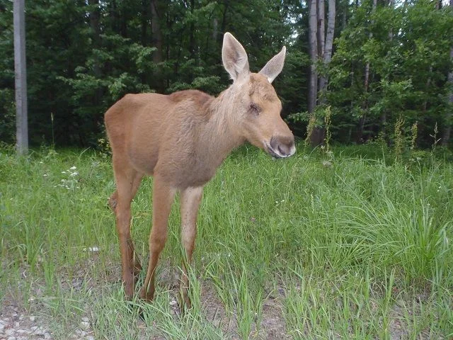 P6300152