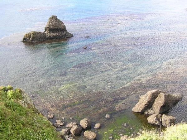 P8270395