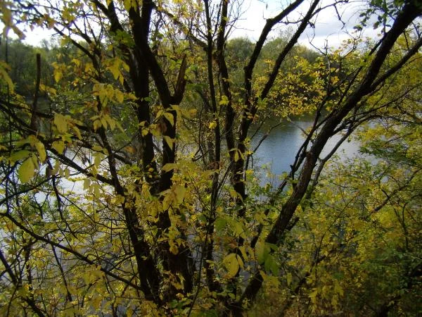 P9270048