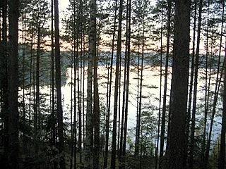 Партизанский край.