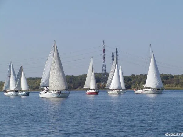 Парусники
