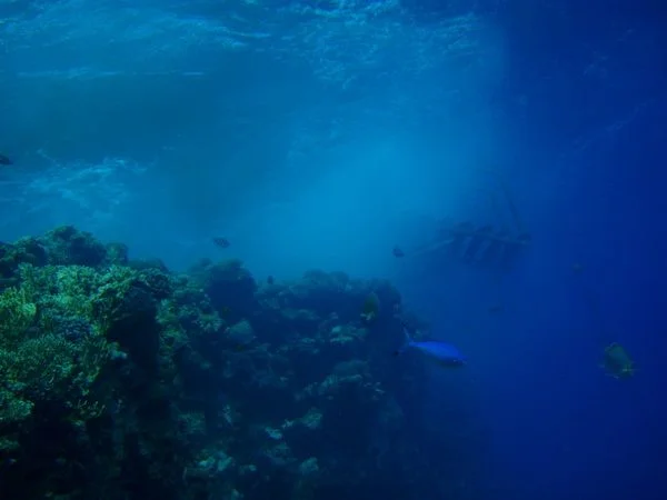 PB142711