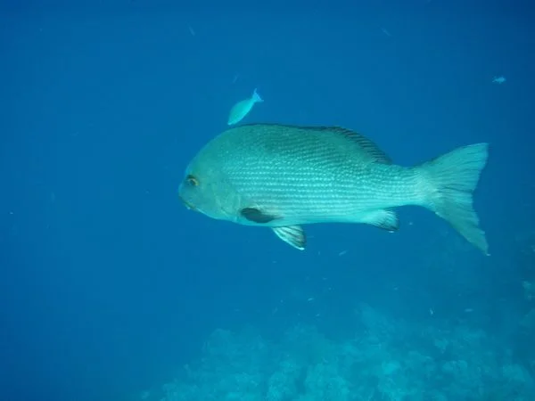 PB162873