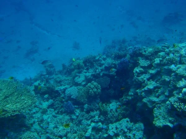 PC140676