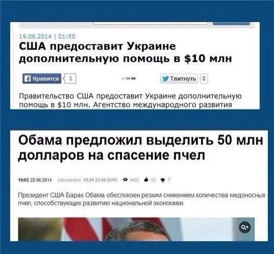 Пчелы