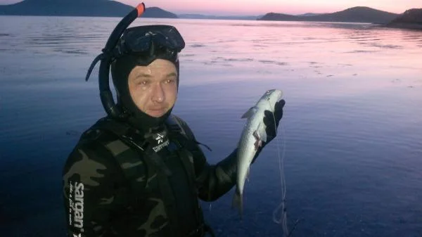 пеленгас