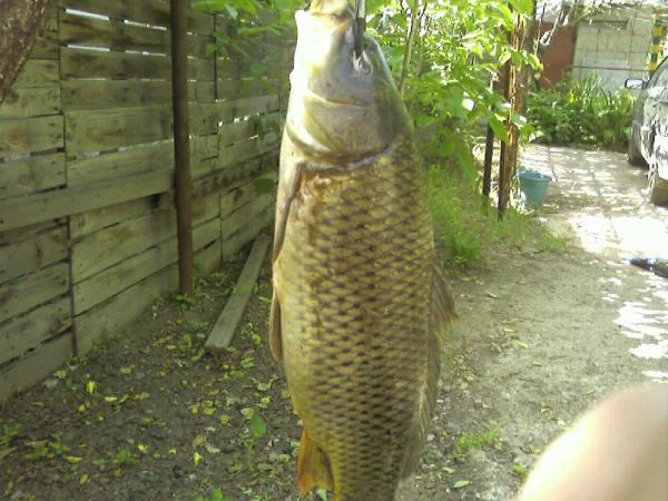 Photo 0016