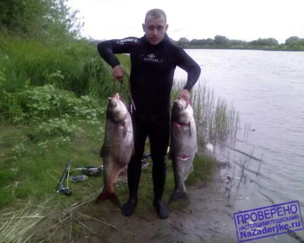 photo 0032 20110219 2007635813
