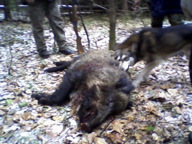 Photo 0041