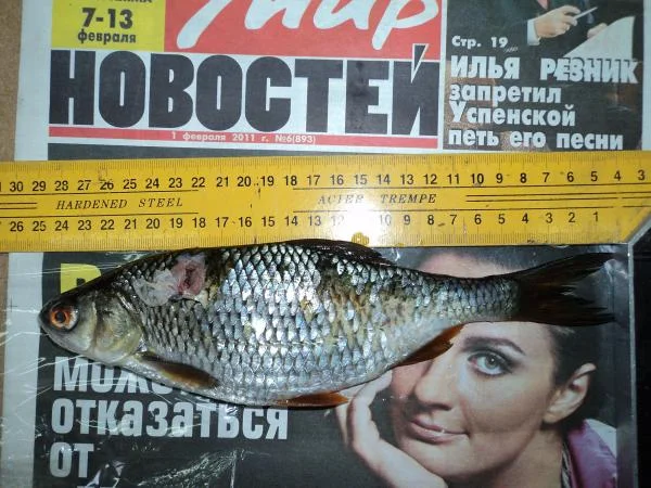 Плотва...
