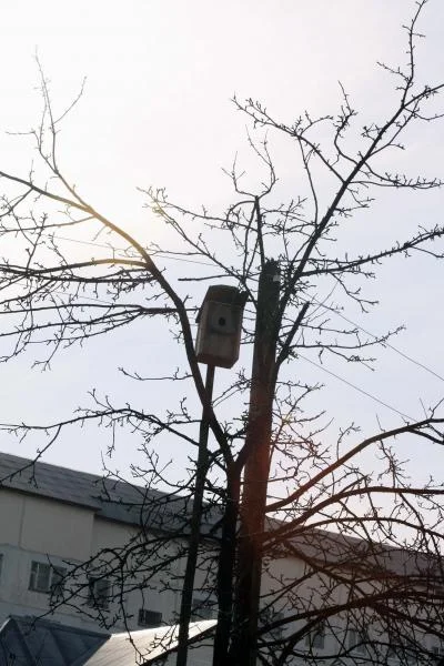 пока не занято! ))