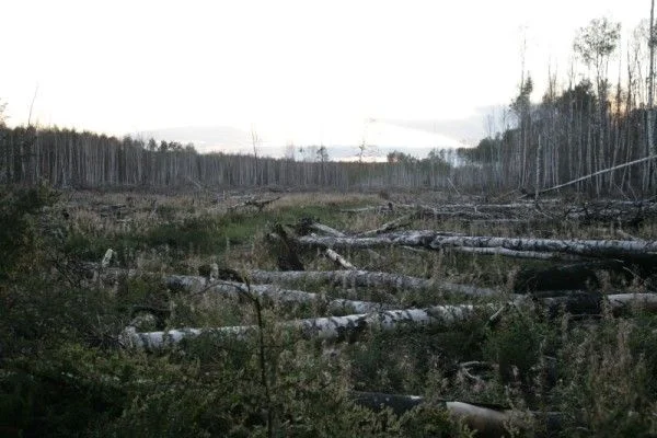 Приехали
