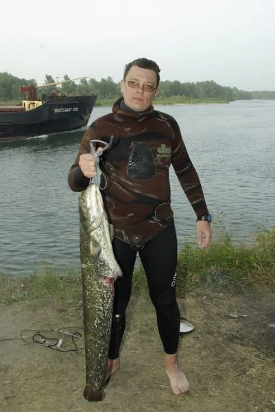 р. Дон