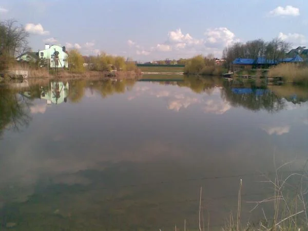 р2010 (3)
