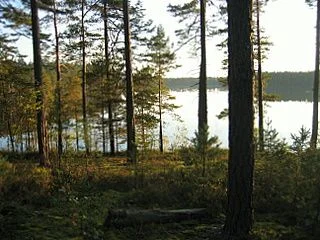 Радость.