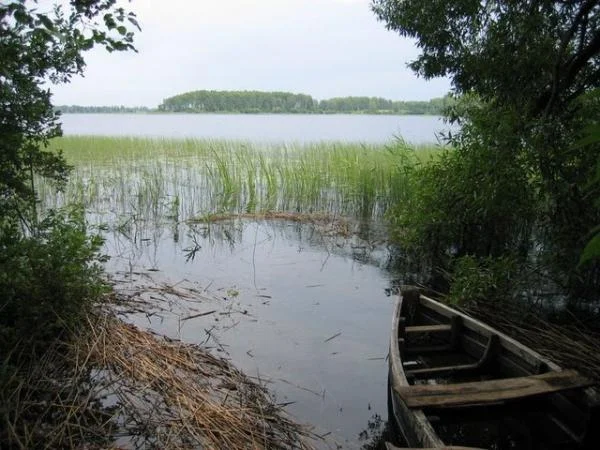 Рай рыболова.