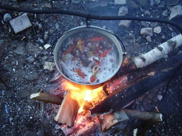 раки