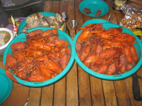 раки