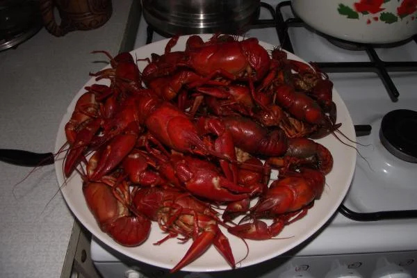 Раки