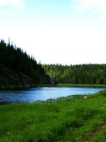 Редкое солнце.