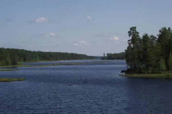 Река без берегов
