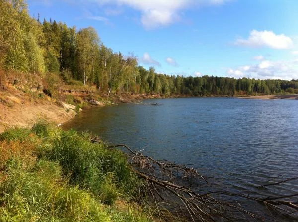 Река Луза